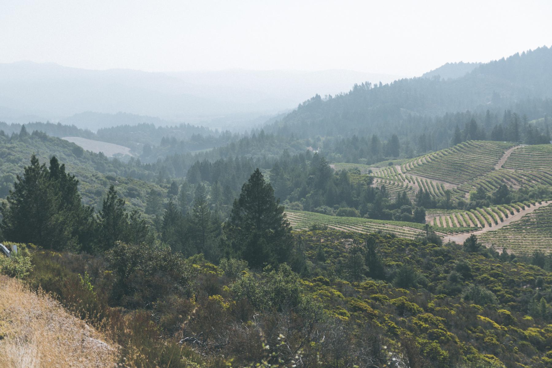 Calistoga, CA
